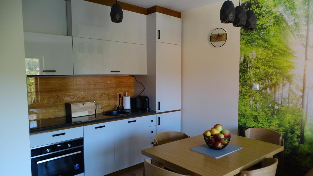 Apartament Delux 2 Szklarska Poręba Zewnętrze zdjęcie
